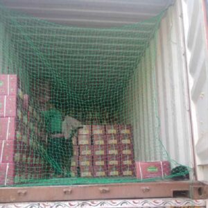 Green container netting Malaysia for truck cargo