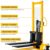 Double Mast Hand Stacker Malaysia